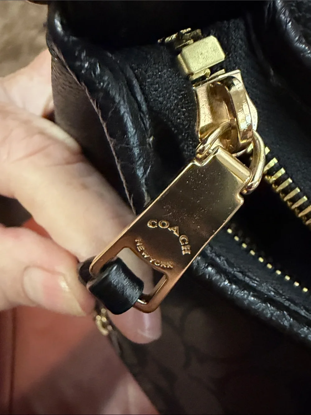 Coach Brown Signature Crossbody with Gold Logo